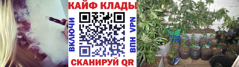 Где купить наркотики Давлеканово Метадон ГАШ СК АМФ blacksprut зеркало Псилоцибиновые грибы