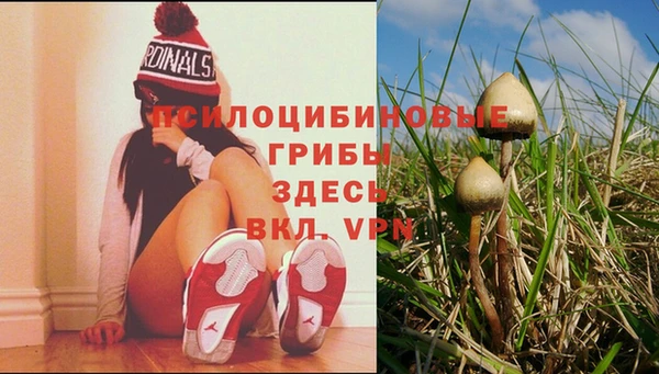 каннабис Горно-Алтайск