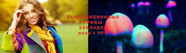 не бодяженный Горнозаводск
