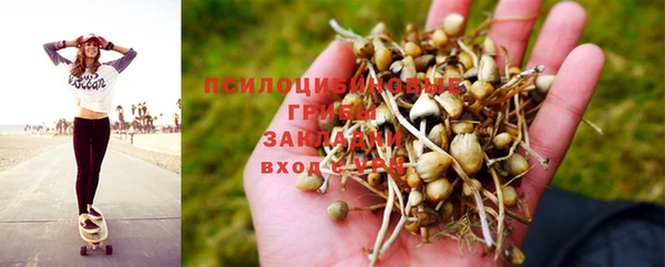 наркотики Горняк